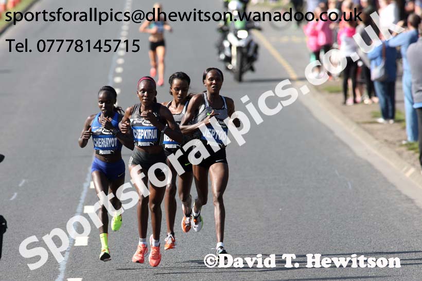Womens Great North Run. Photo: David T. Hewitson/Sports for All Pics